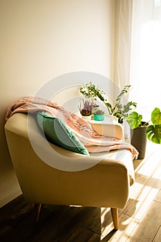 Side view large beige armchair near the window