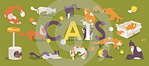 Large concept illustration with cats and large lettering. Kitten with prosthesis, cone collar, playing and sleeping