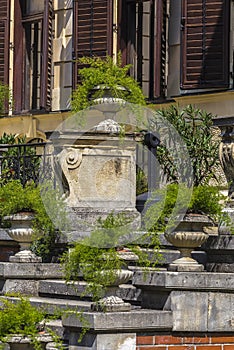 Large concrete vases with ornamental plants