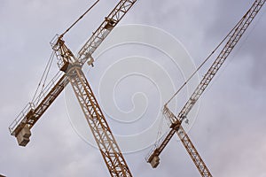 Large construction cranes seen from below photo