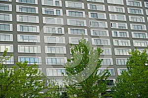 large corporate building with young trees on the foreground. Trees try to balance and compensate large space filled with concrete