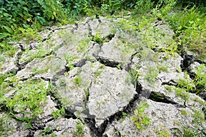 Large cracks in parched earth