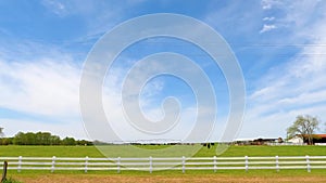 Large crowd of cows feeding and grazing on a farm rural Georgia time-lapse