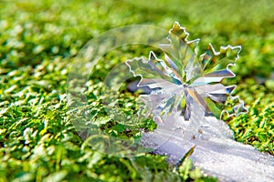 Large Crystal Snowflake with Snow and Green Grass