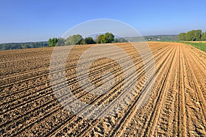 Large cultivate field