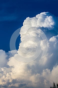 Large Cumulus Congestus Cloud