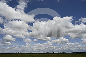 Large cumulus laden with water , cover the blue sky.