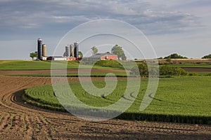 Large Dairy Farm