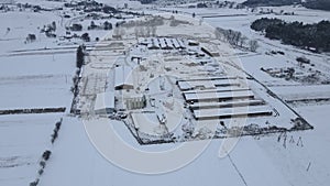 A large dairy farm for breeding cows is covered with snow