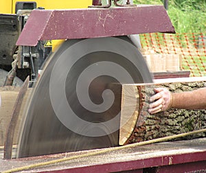 Large dangerous looking circular saw cutting wood