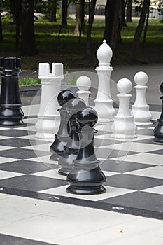 Large decorative chess