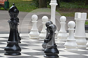Large decorative chess photo