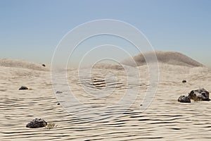 large desert environment with sand dunes, hills and rocks laying arround climate change heat concept 3D Illustration