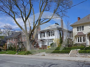 large detached houses with front yards with mature trees