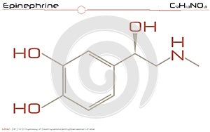 Molecule of Epinephrine
