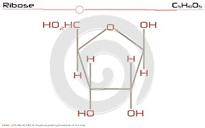 Molecule of Ribose photo