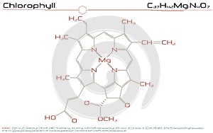 Molecule of Chlorophyll photo