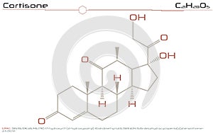 Molecule of Cortisone photo