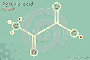 Infographic of the molecule of Pyruvic acid