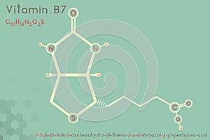 Infographic of the molecule of Vitamin B7