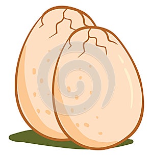 Large dinosaur eggs vector or color illustration
