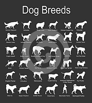 Large dog breed set collection vector silhouette illustration isolated on black background.