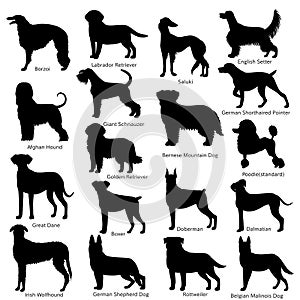 Large dog breeds silhouette bundle