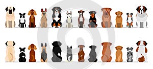 Large dogs border set, full length, front and back