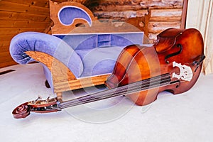 Large Cello or Double Bass Classical Instrument in Cabin photo