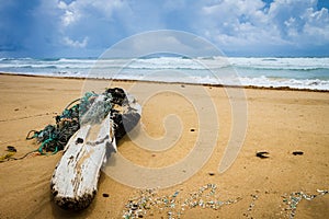 Large driftwood entangled with ropes on Kuaui beach with cloudy skies and roiling ocean in background