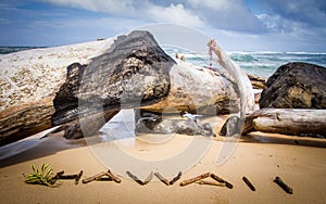 Large driftwood stumps on Kuaui beach with Hawaii spelled out with small driftwood sticks