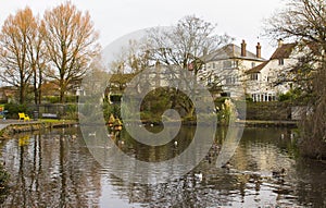 The large duck pond and wildfowl sanctuary in Ward Park in Bangor County Down in Northern Ireland