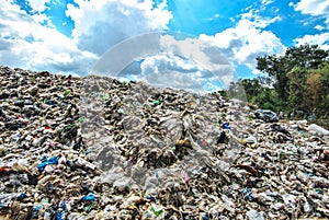 A large dump was left at the jungle.