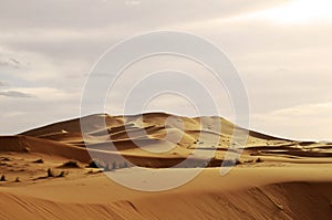 Large dune landscape of Erg Chebbi in Morocco at sunset