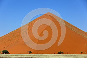 Large dune in Namib