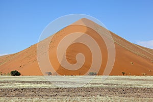 Large Dune in Namib Naukluft NP