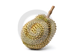 Large Durian fruit on white background.