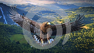 A large eagle is flying over a mountain range