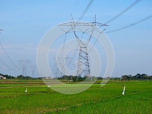 Large electricity poles on a sunny morning