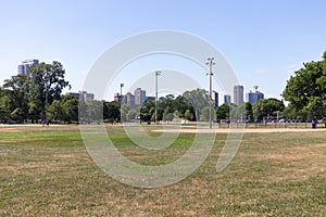 Green Grass Field and Park in Lincoln Park Chicago during the Summer