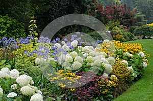 Large English perennial border