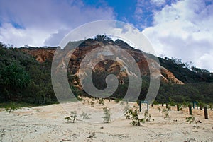 Large escarpment of bedrock, Fraser Island photo