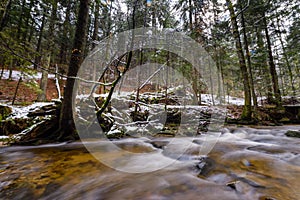 Large fallen trunk of spruce, fir in the woods, mountain river, stream, creek with rapids in late autumn, early winter