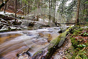 Large fallen trunk of spruce, fir in the woods, mountain river, stream, creek with rapids in late autumn, early winter