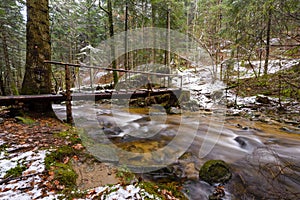 Large fallen trunk of spruce, fir in the woods, mountain river, stream, creek with rapids in late autumn, early winter