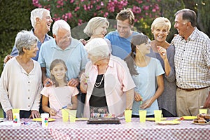 Large Family Group Celebrating Birthday Outdoors