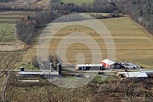 Large farm with cattle