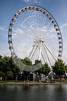 a large ferris wheel near the water with trees in front of it
