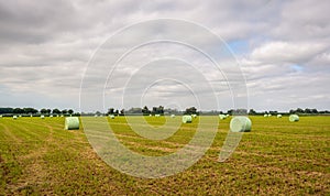 Large field with hay bales packed in green plastic film