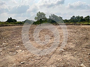 large field of soil in the middle of the forest